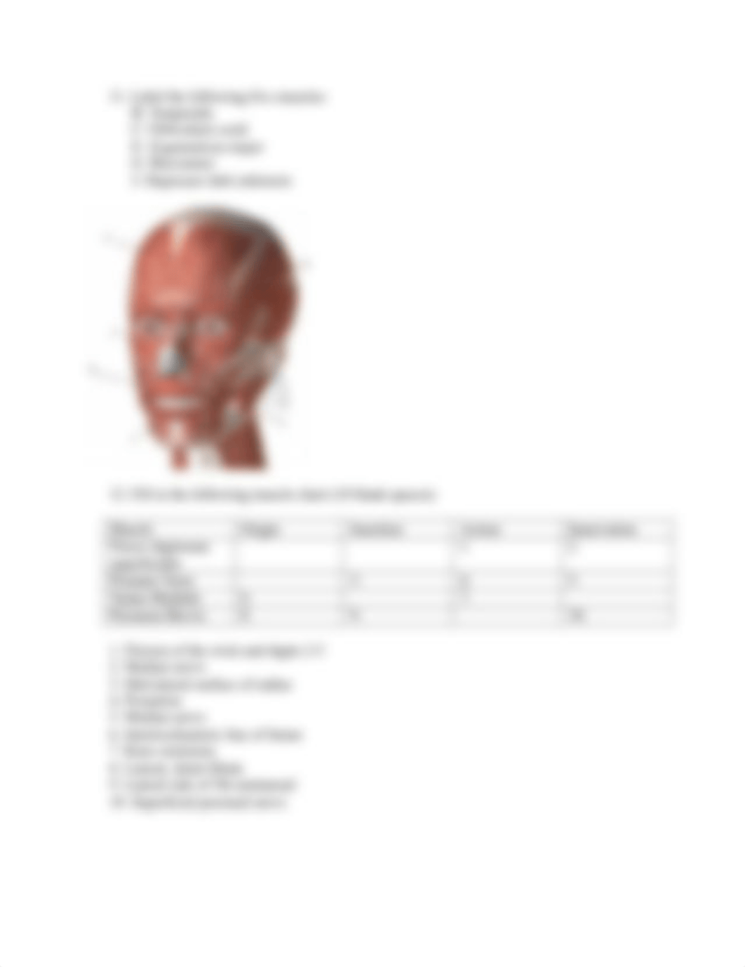 Anatomy and Physiology I_Module 5 Lecture Exam.docx_d5rn0hi64gg_page2