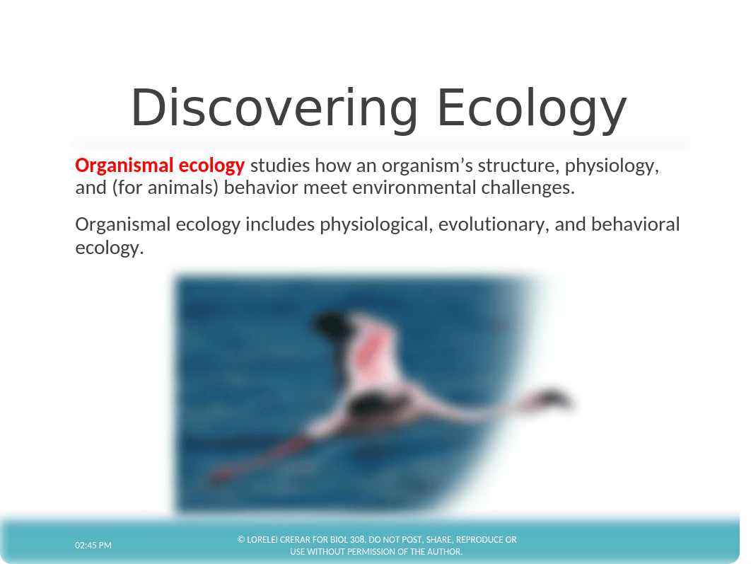 Chapter 52 Introduction to Ecology and the Biosphere-ONLINE(1).pptx_d5ru7ofxr16_page5