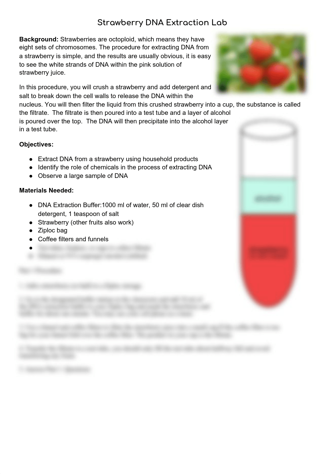 Copy of Strawberry DNA extraction Lab.pdf_d5ruxqsbzg5_page1