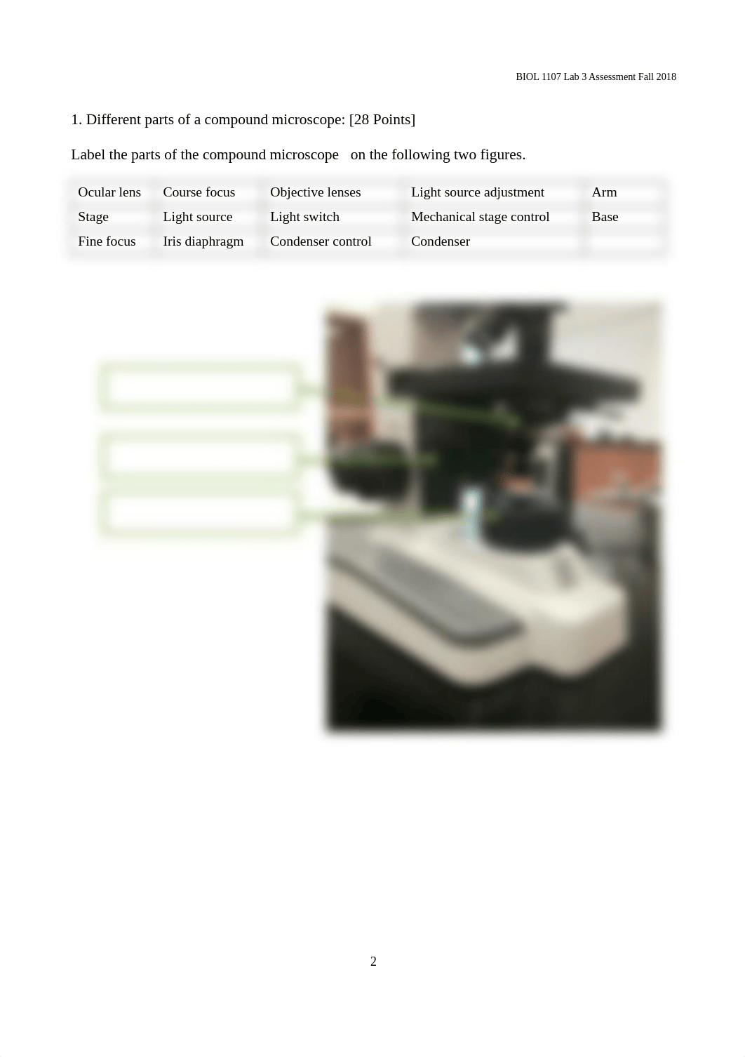 Lab 3 Microscopy Assessment.docx_d5s2v0bxhll_page2