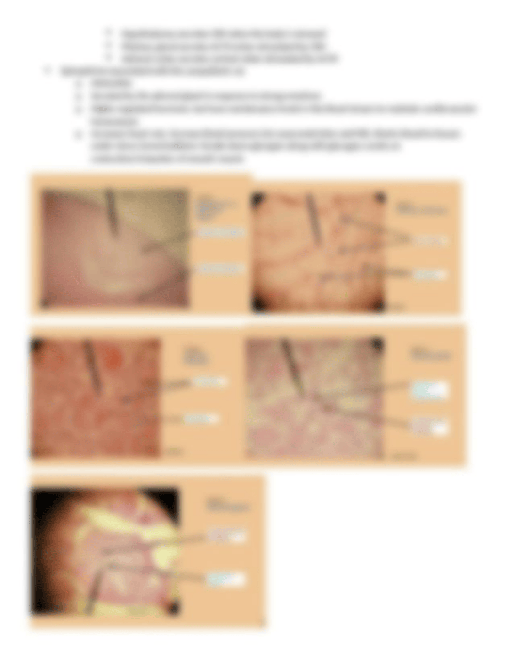 A&P Lab Exam 2.docx_d5s4az6xxs2_page3