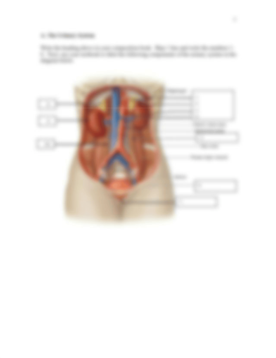 BIO_302_-_Urinalysis_of_Simulated_Urine_Lab.pdf_d5s5qqw6x1w_page2