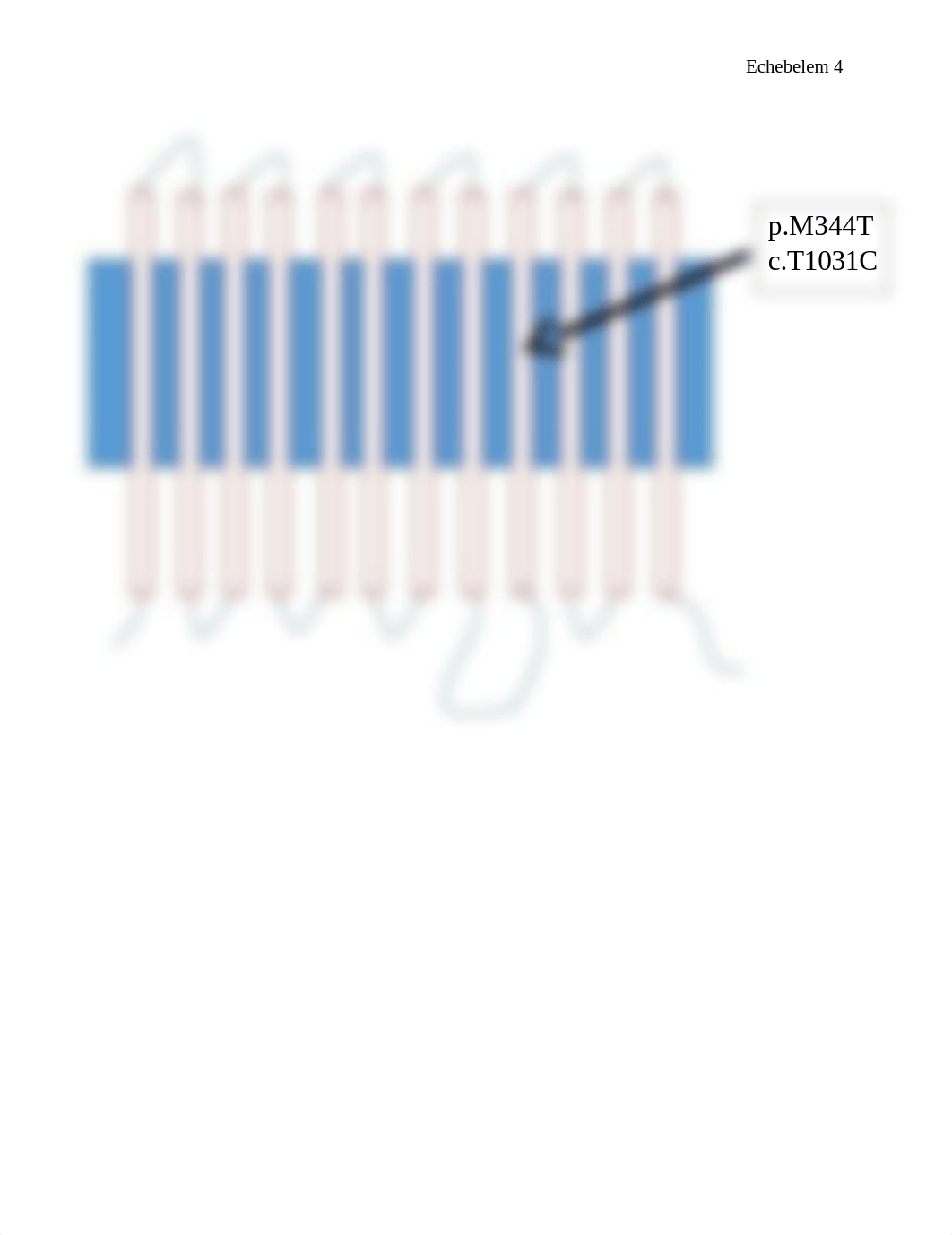 Molec Cell Research Paper .docx_d5s71d1j02s_page5