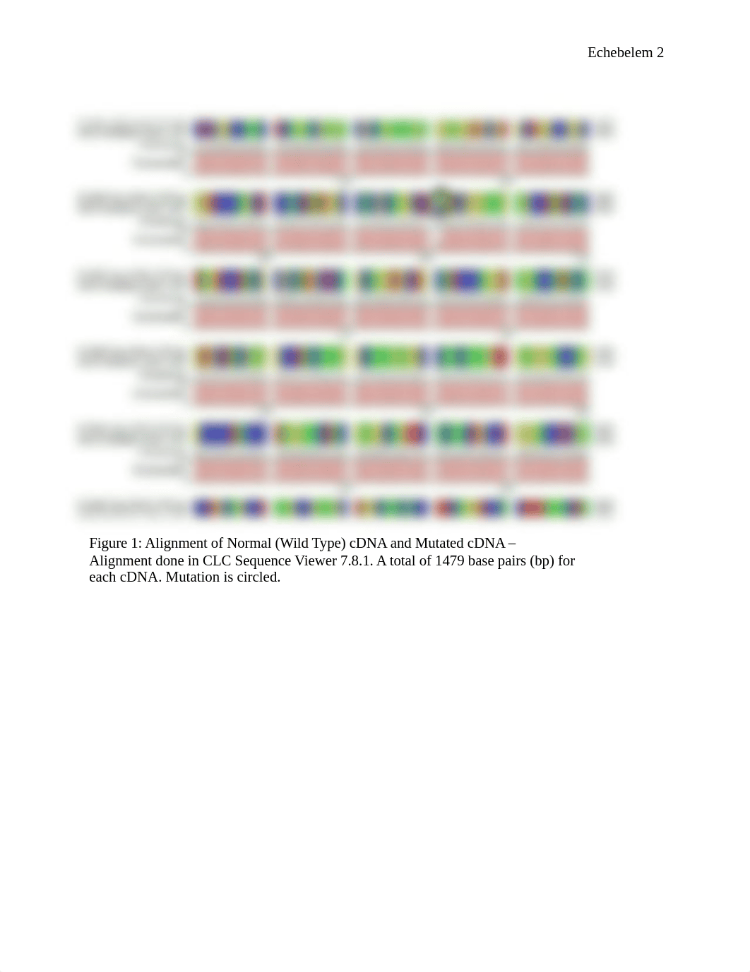 Molec Cell Research Paper .docx_d5s71d1j02s_page3