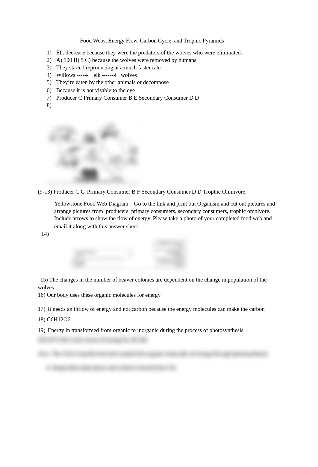 ANswer_Sheet_Food_Webs,_Energy_Flow,_Carbon_Cycle,_and_Trophic_Pyramids.docx_d5scswdn2us_page1