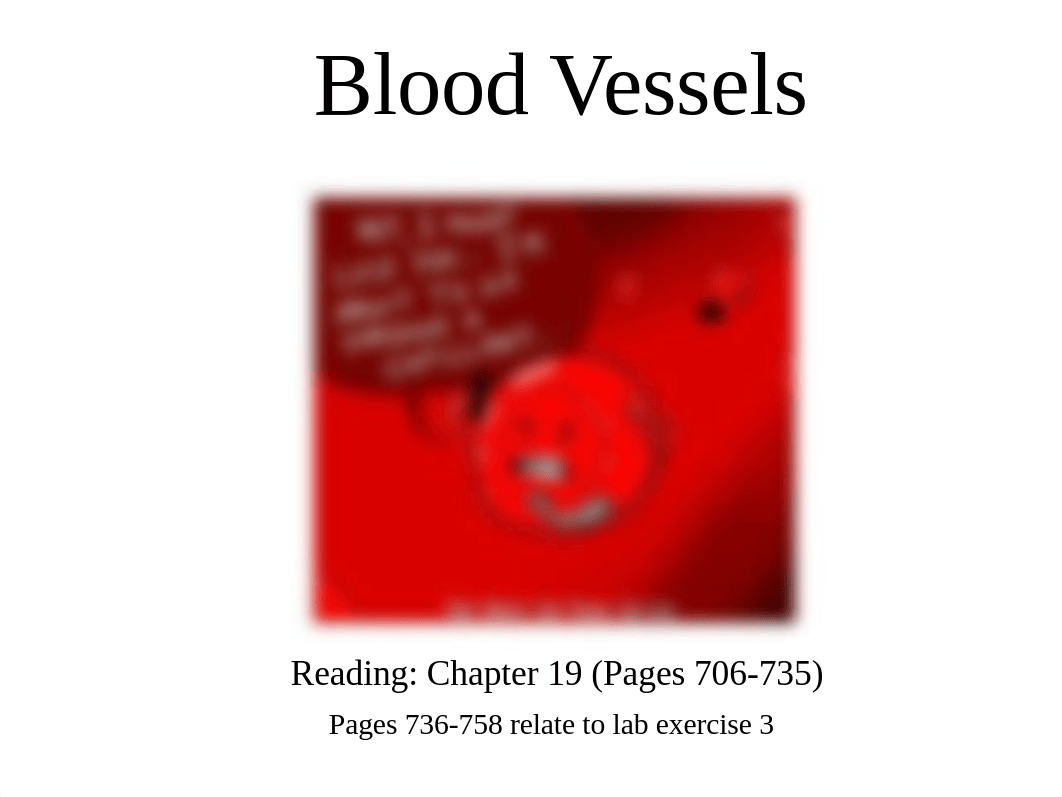 Cardiovascular System- Blood Vessels.pdf_d5sjkxdx6nm_page1