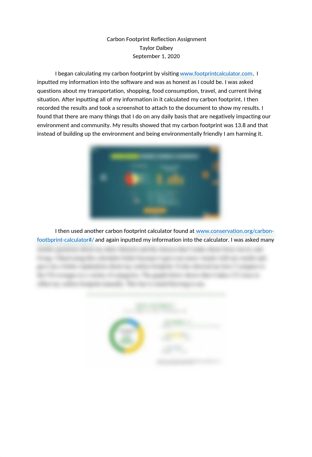 Carbon Footprint Reflection Assignment .docx_d5syg0no8rr_page1