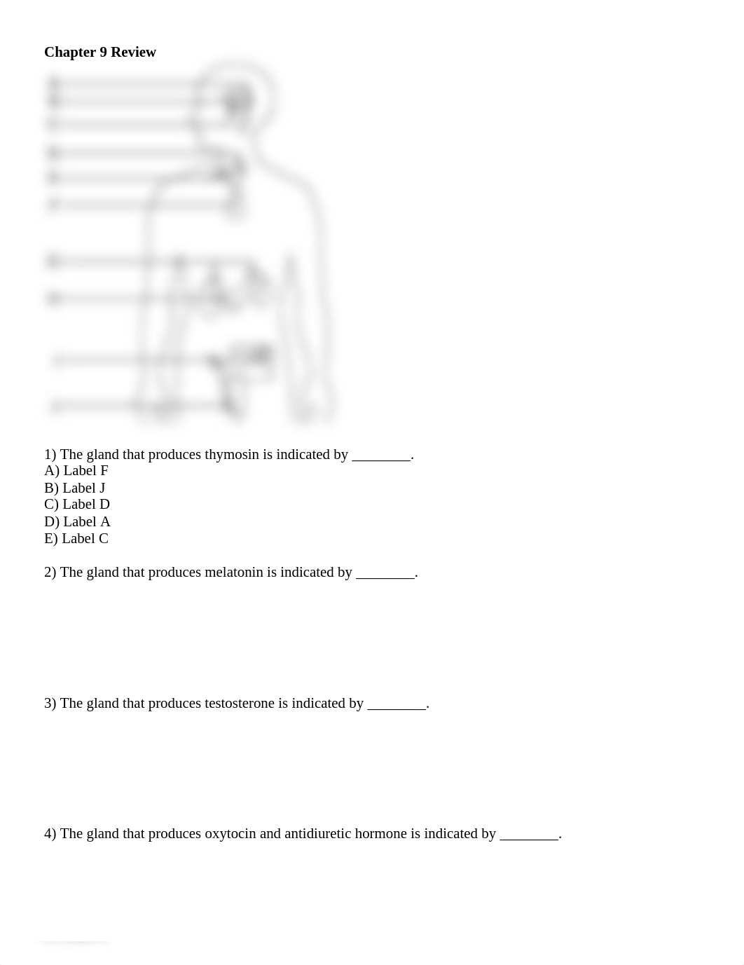 BIOL2404 - Chapter 9 Endocrine Review.pdf_d5t4d5otz0p_page1