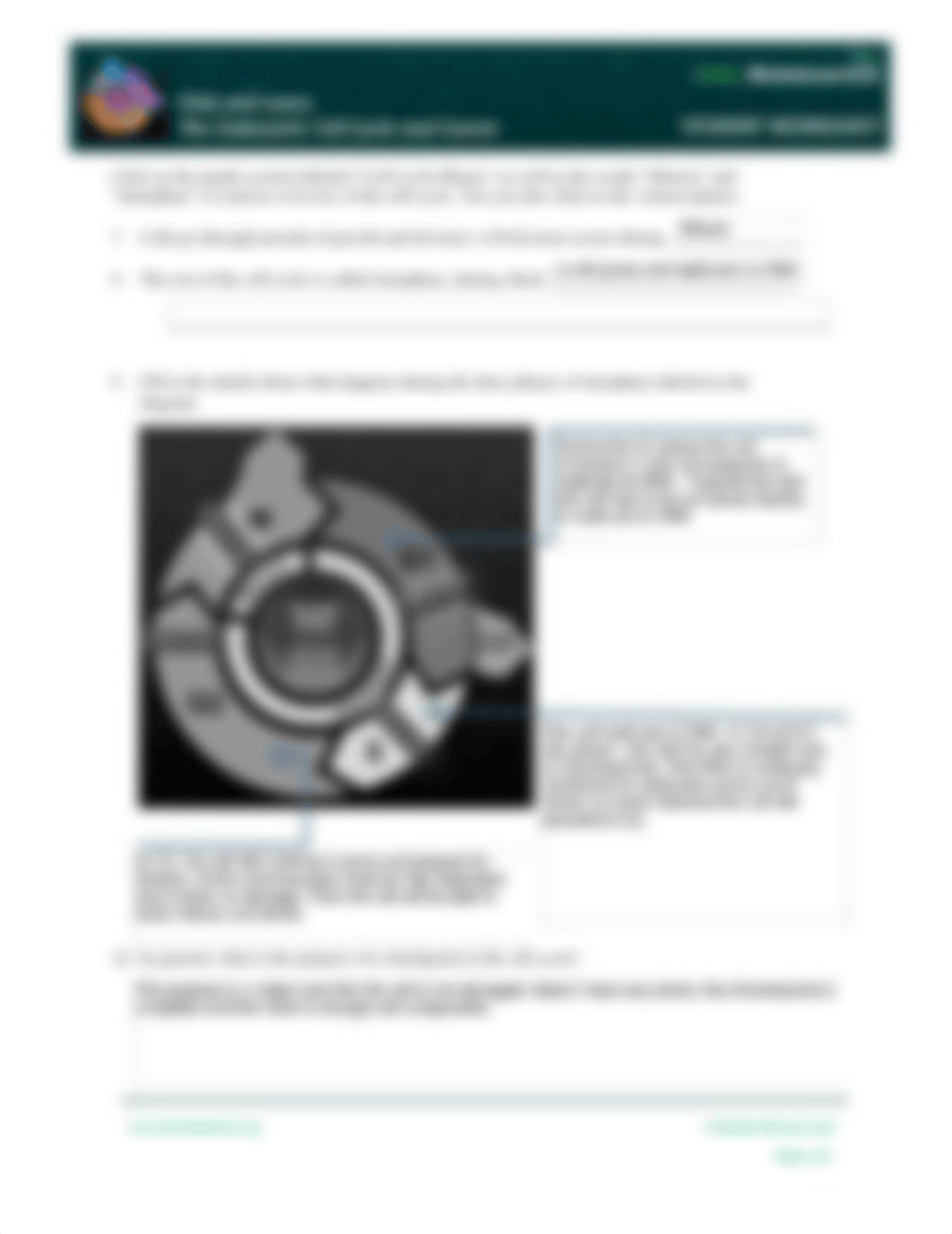 Jean_Jeneesha_Cellcycle-Overview.pdf_d5t4jm7g441_page2