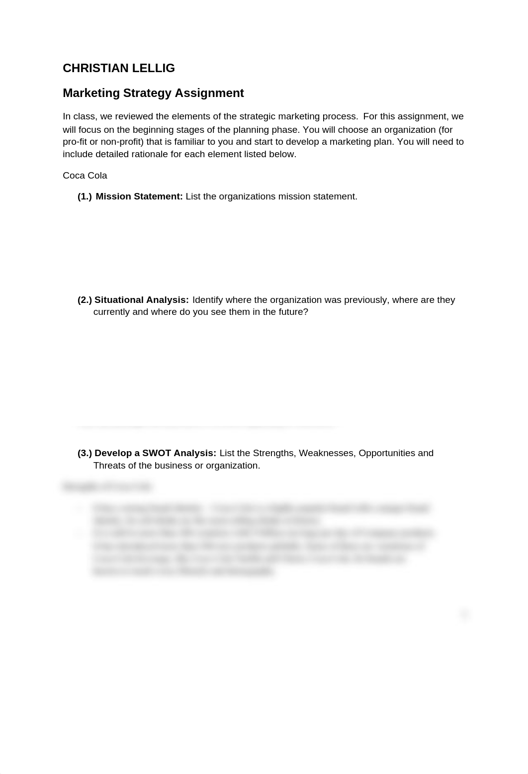 Marketing Strategy Assignment.docx_d5t5z9suzmz_page1