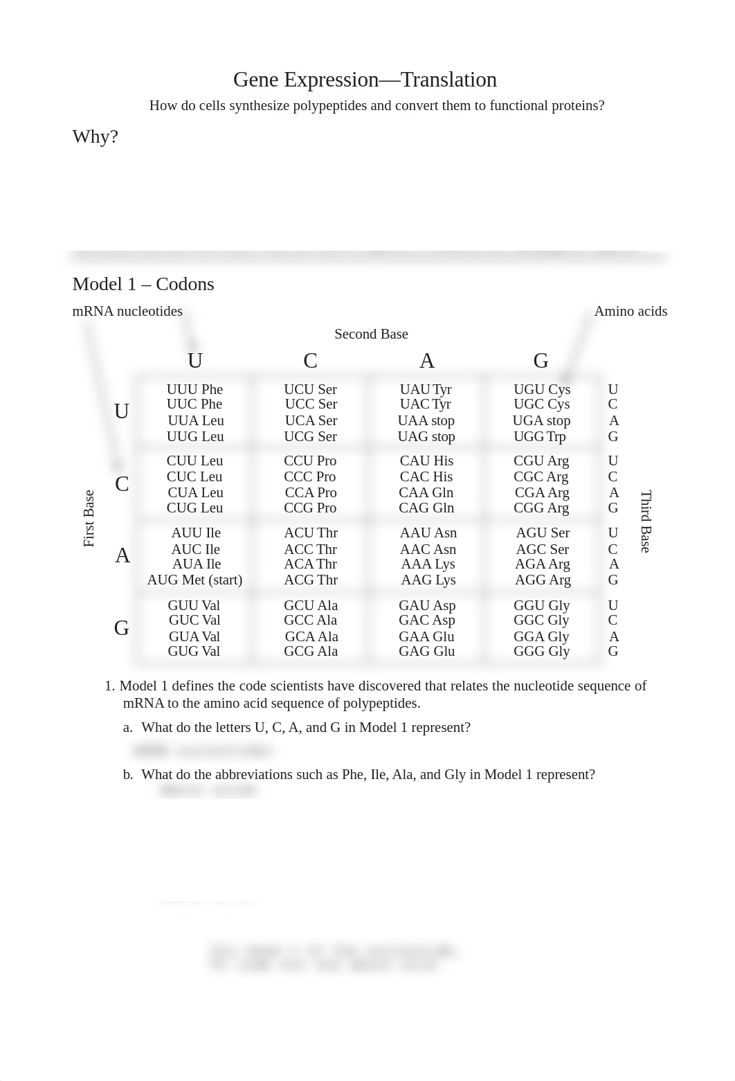 15 Gene Expression-Translation-S.pdf_d5tc2u8o3vr_page1