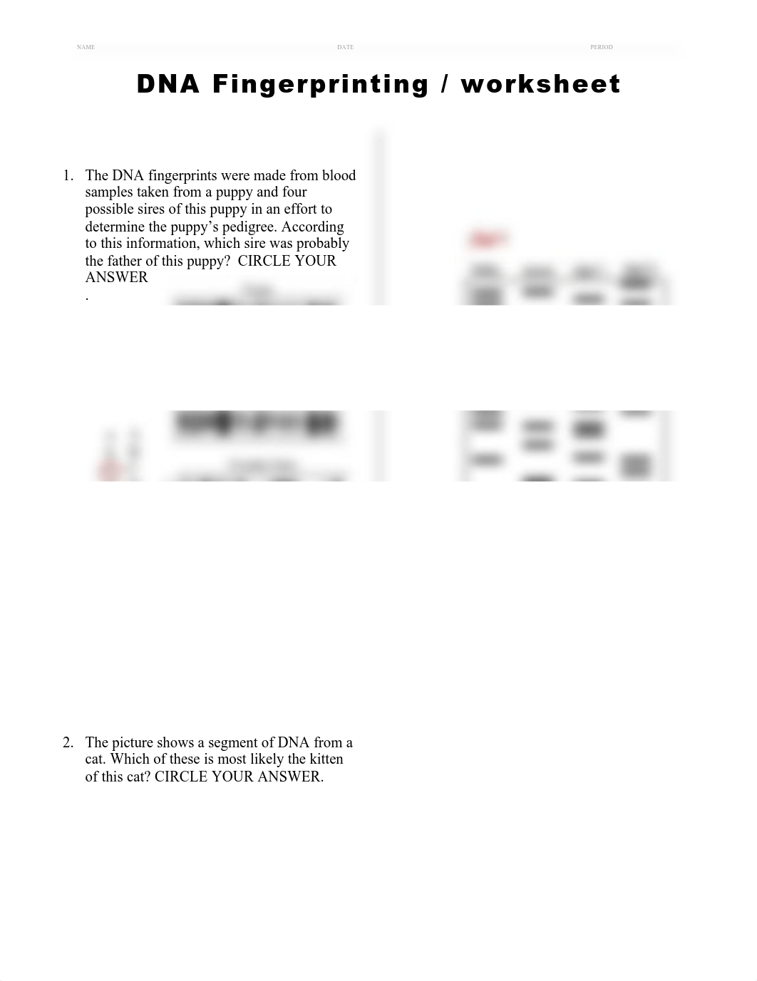 DNA analysis BR.pdf_d5tg6r271g3_page1