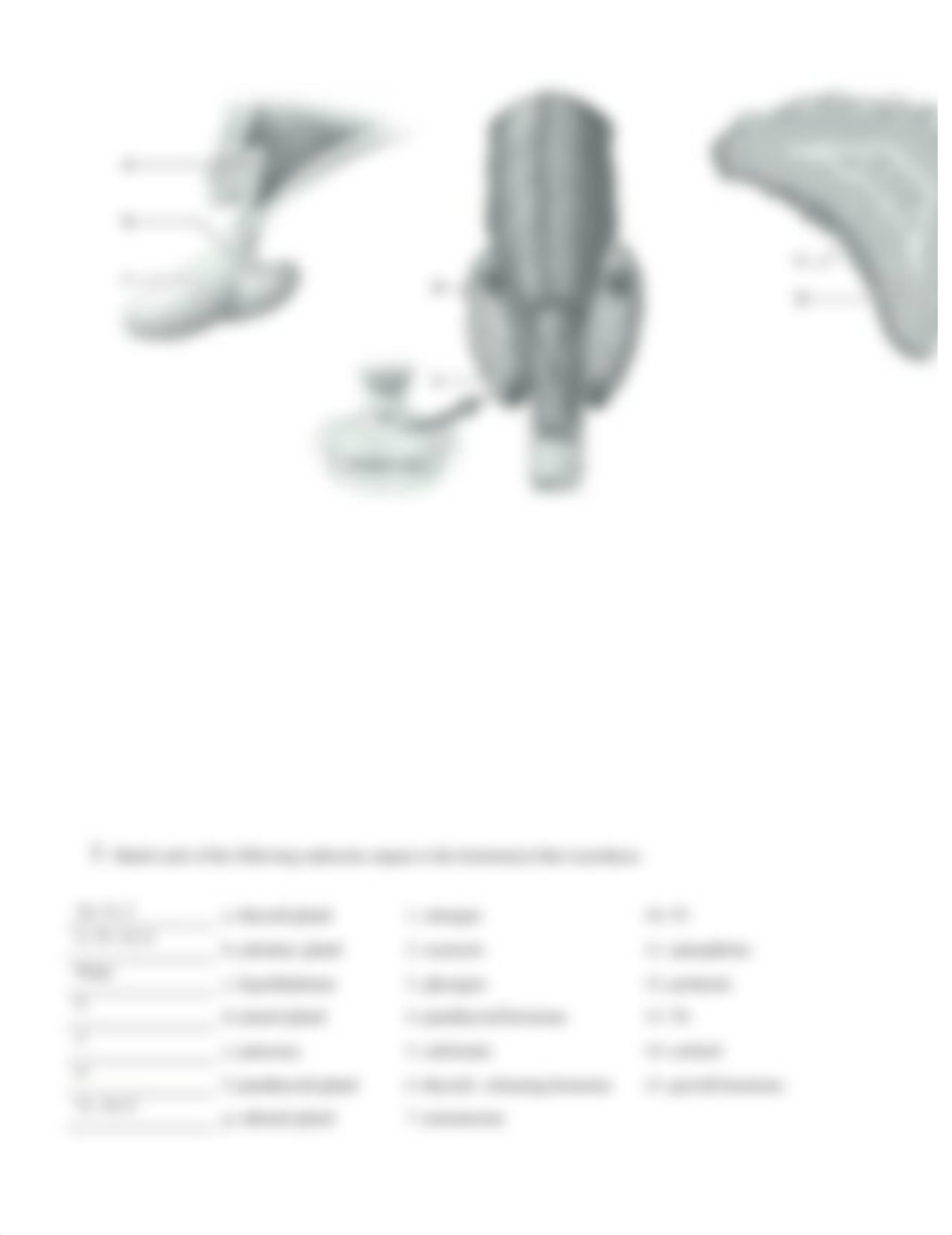 7. Unit 7 laboratory exercise 19.docx_d5tiz7r69q2_page3