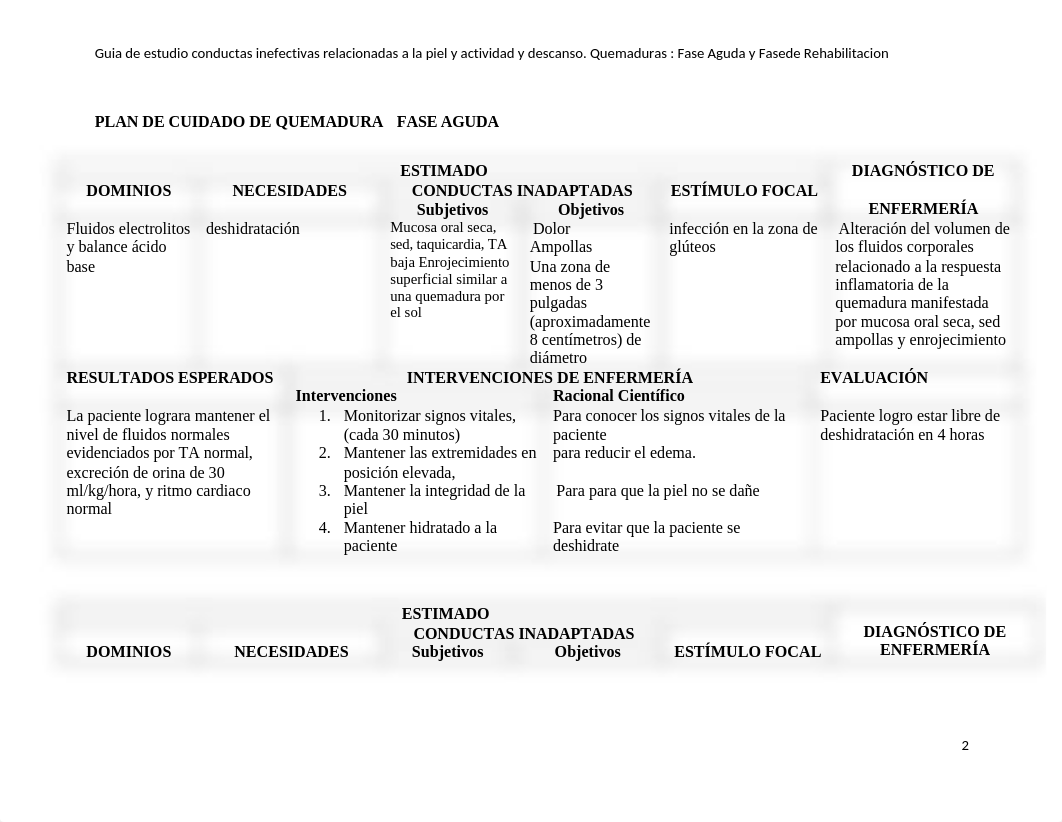 PLAN_DE_CUIDADO_DE_QUEMADURA___FINAL.docx_d5tj06jaalh_page2