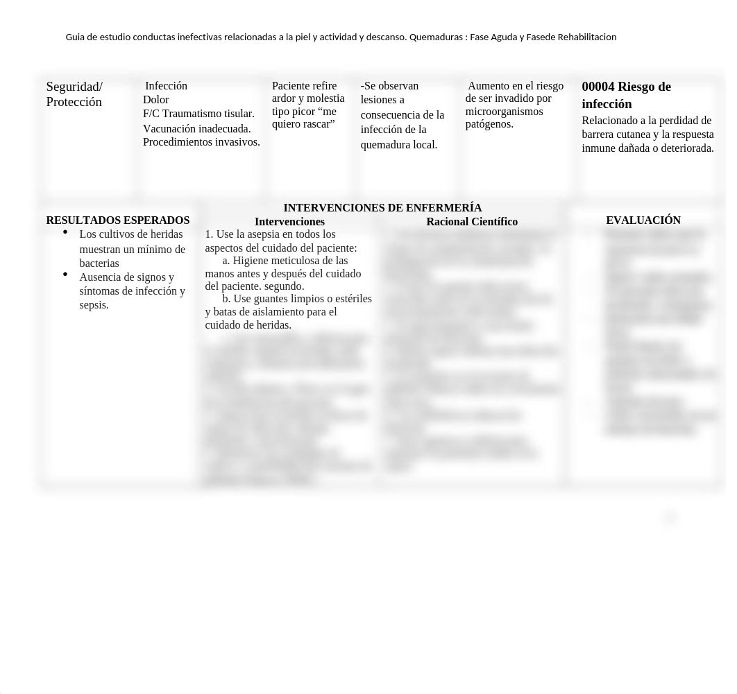 PLAN_DE_CUIDADO_DE_QUEMADURA___FINAL.docx_d5tj06jaalh_page3