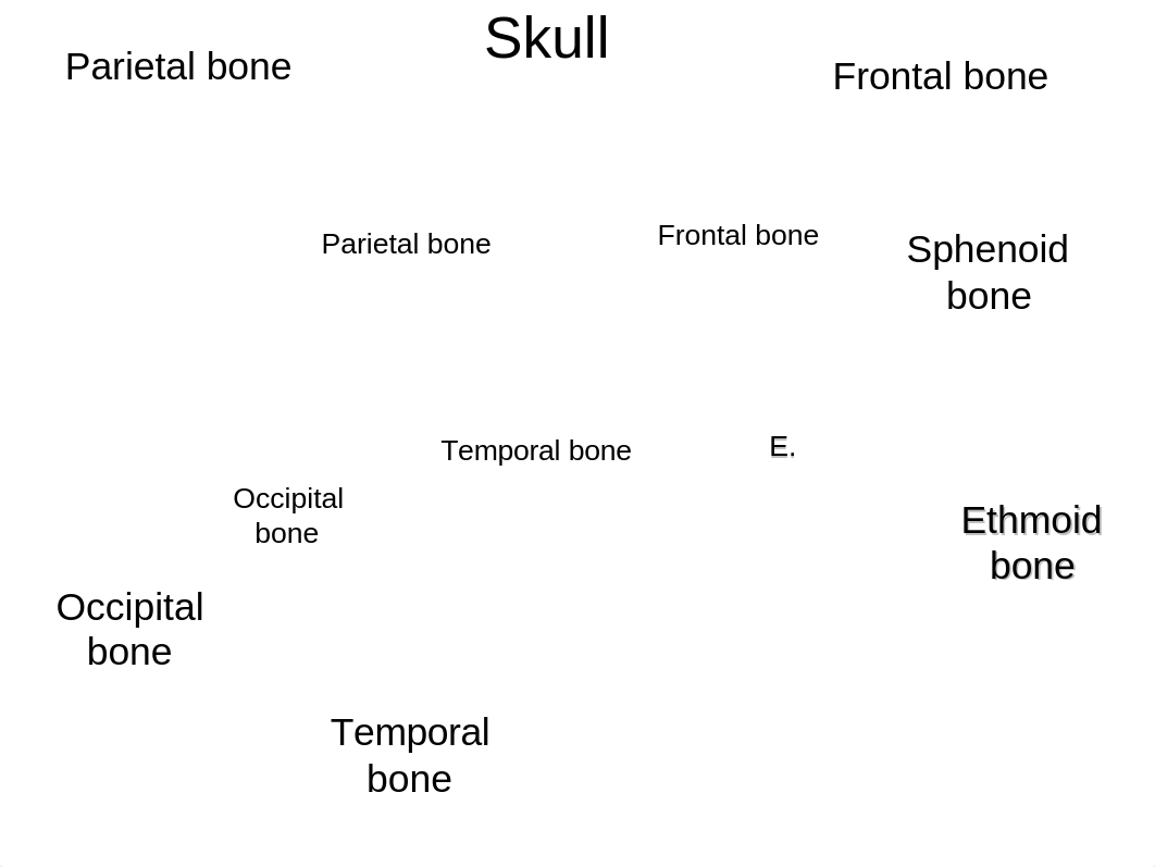 Lab Ch 8 Skeletal System_d5tjq6j5dp6_page5