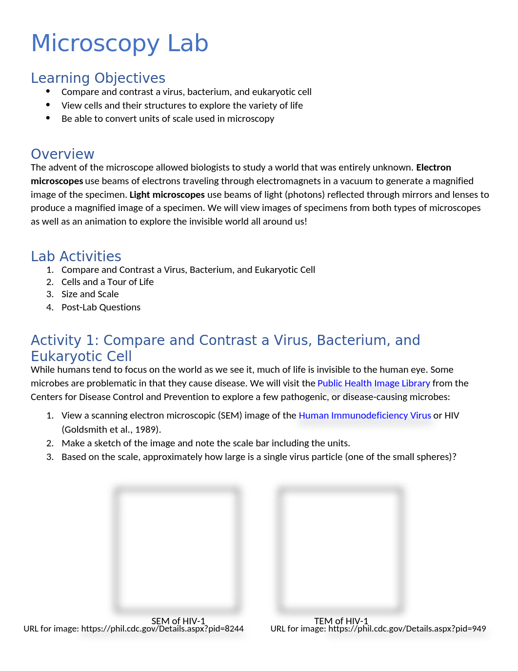 Lab1.Microscopy.docx_d5tl0qsgauu_page1