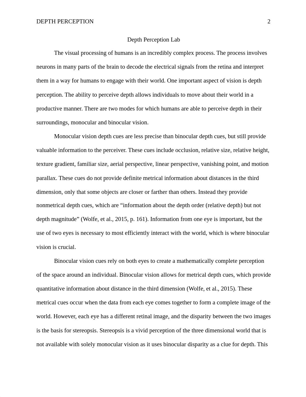 Depth Perception Lab 5.docx_d5u4tlfqtrw_page2