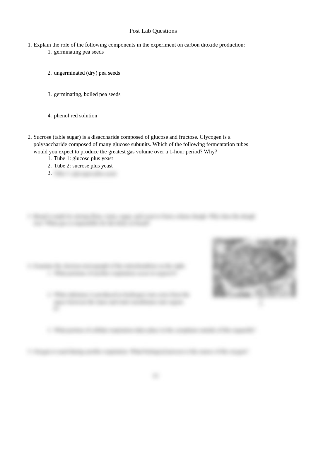 Biology 1 Student Lab Manual-79-85.pdf_d5ubkvd1vaf_page2