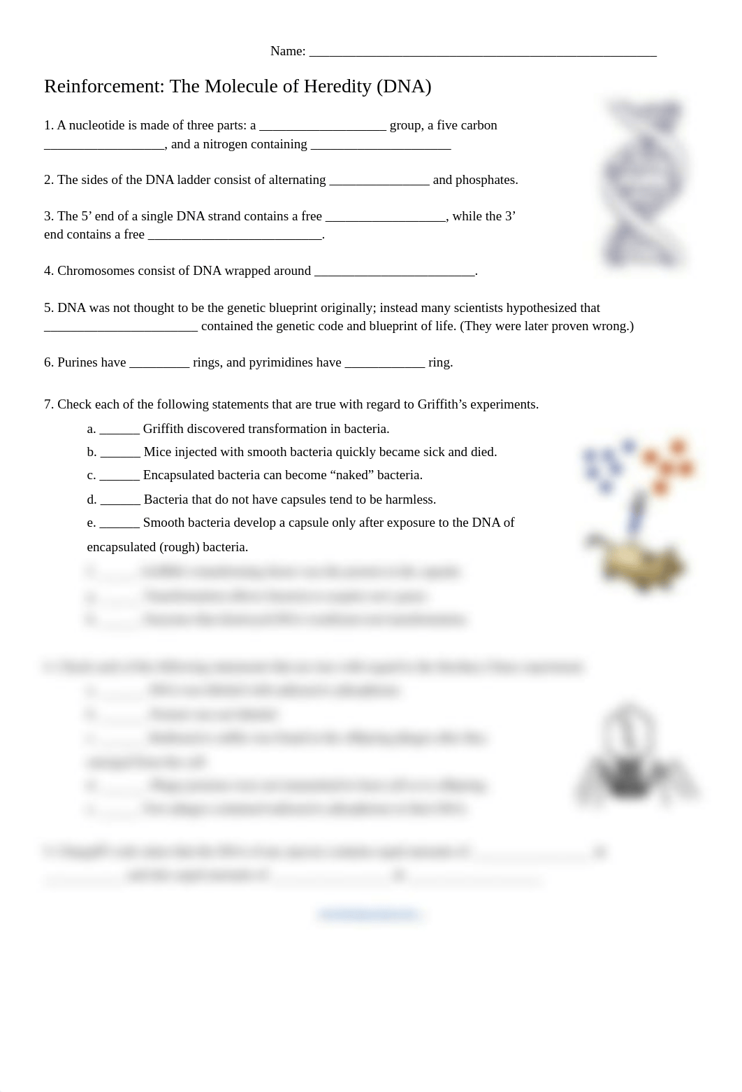 Reinforcement___The_Molecule_of_Heredity_DNA (1).pdf_d5ueajz2gs8_page1