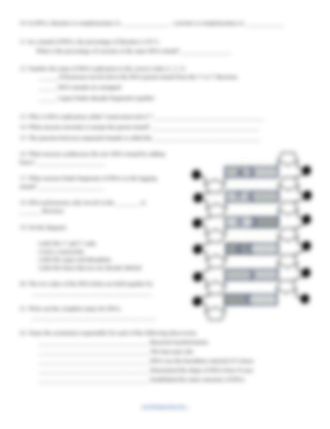 Reinforcement___The_Molecule_of_Heredity_DNA (1).pdf_d5ueajz2gs8_page2