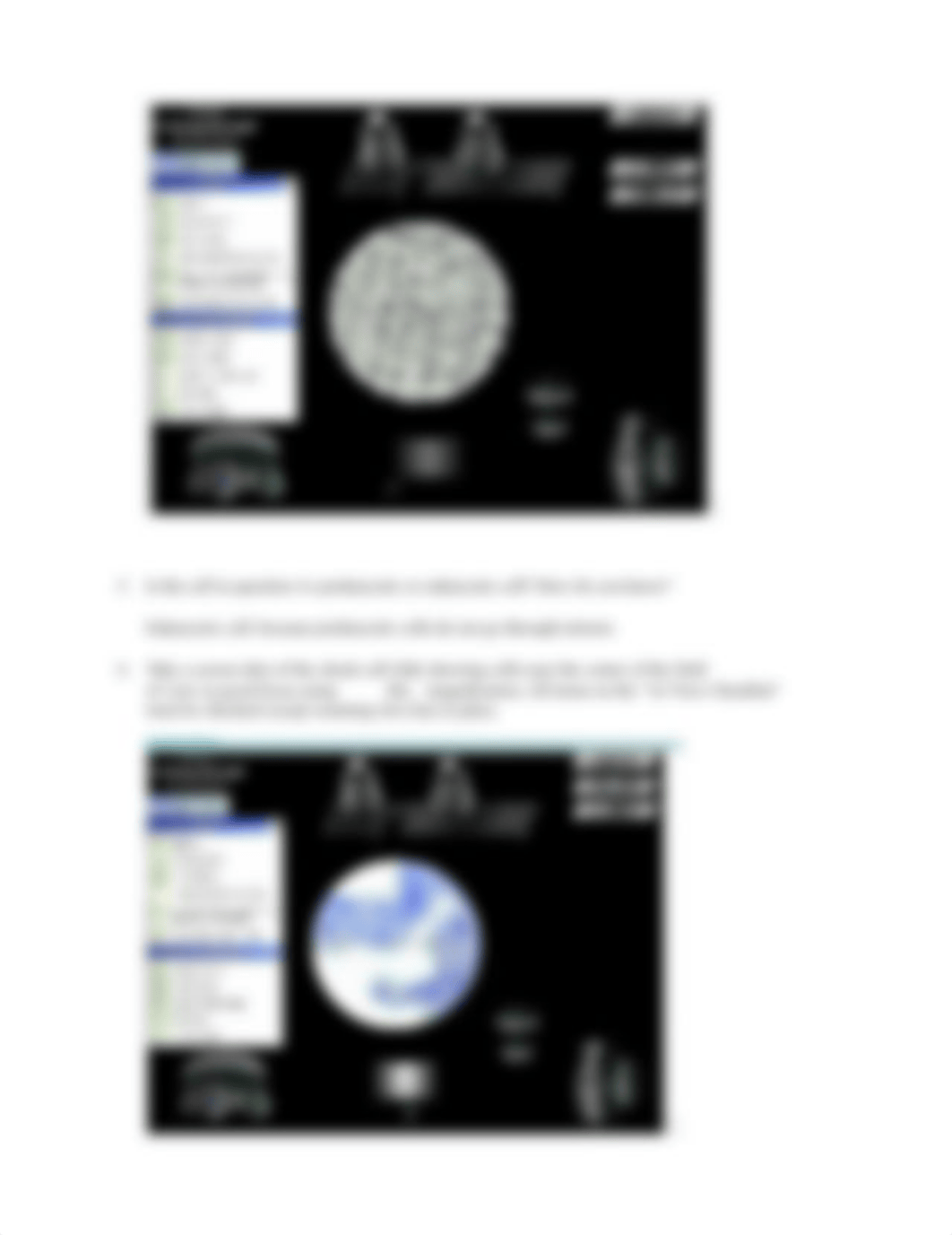 Cells & Microscopy .docx_d5ug2fxko1b_page2