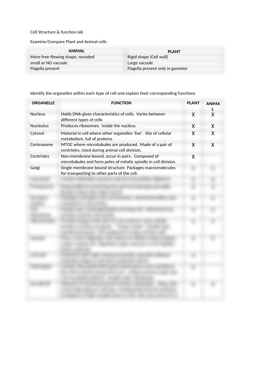 WK 2_cell structure function_d5uksu9kcd9_page1