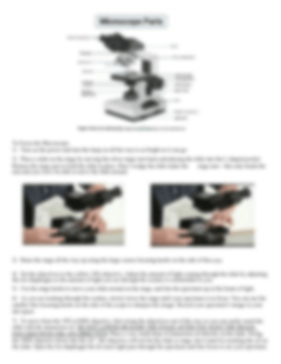 BIO 103  Lab 3 Microscope 21S PDF(1).pdf_d5ul8kax66o_page3