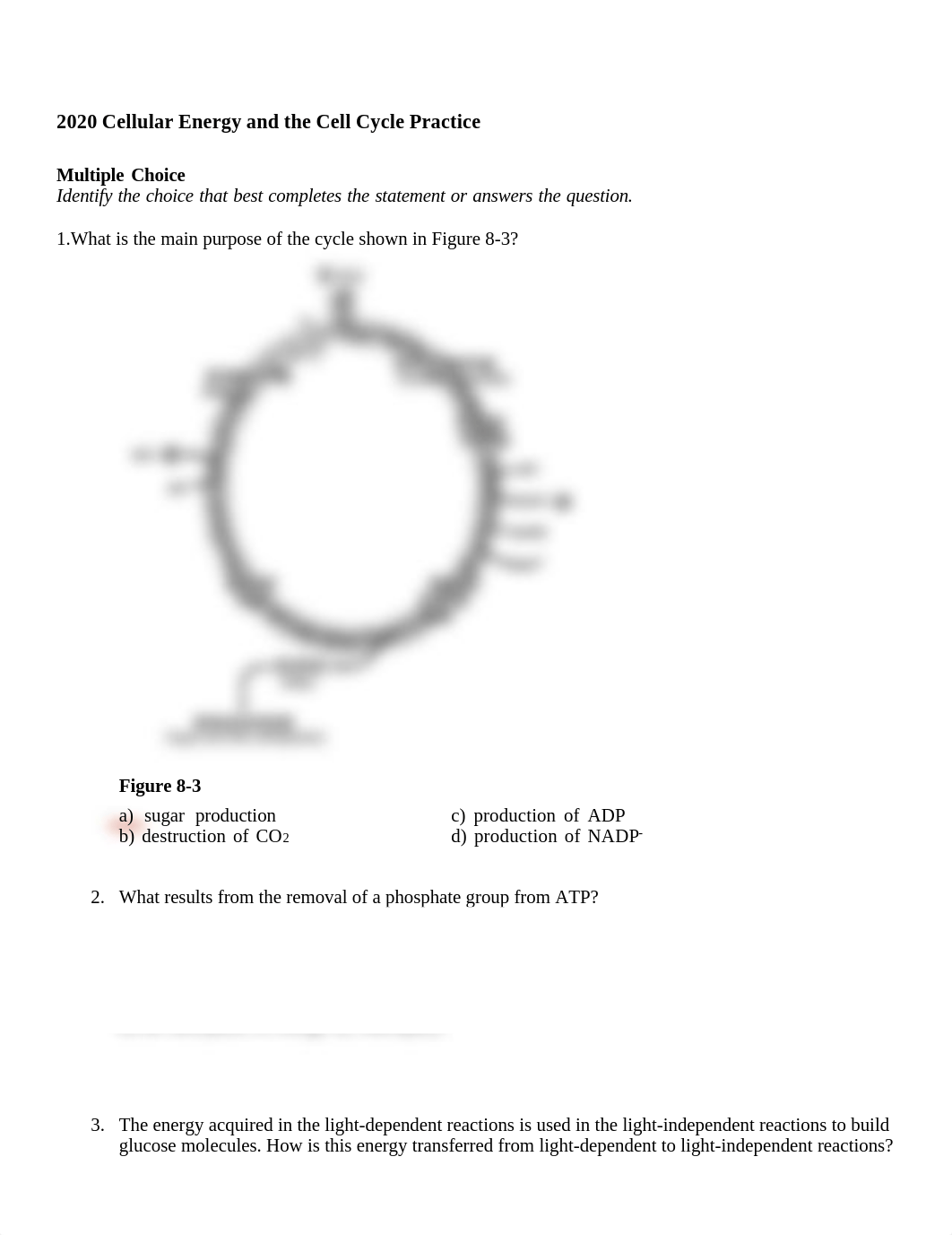 2020 Cellular Energy and the Cell Cycle Pract.pdf_d5un7v9zlf4_page1