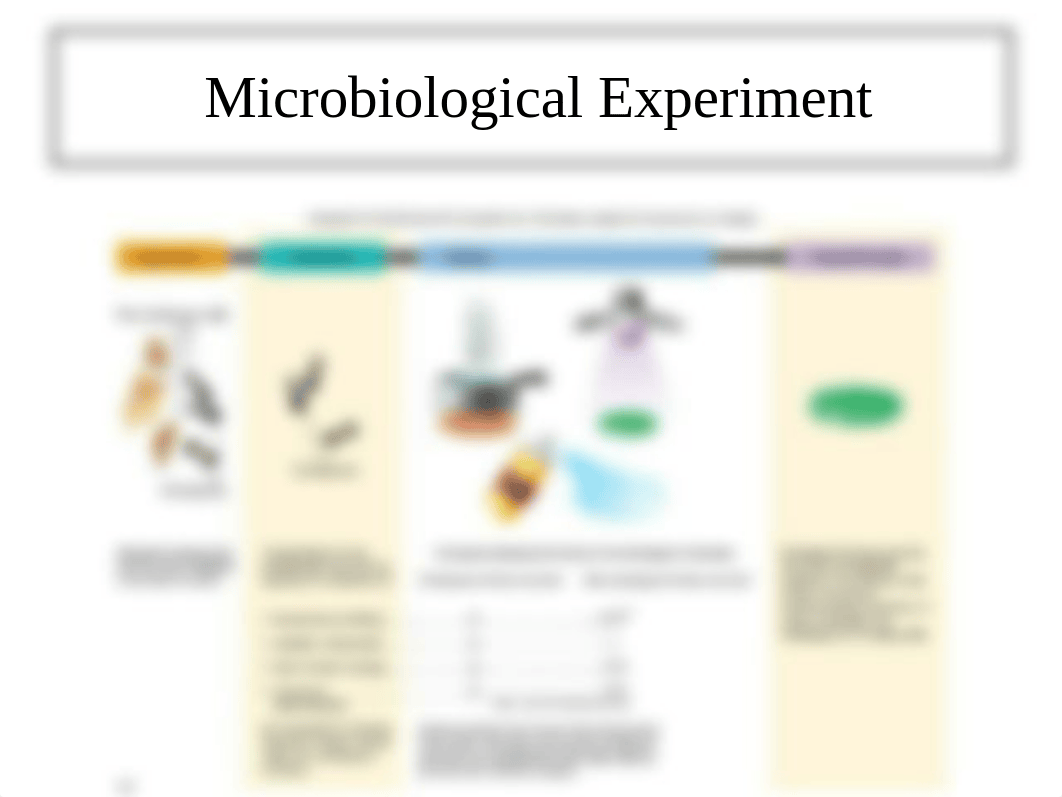 History of Microbiology.pptx_d5uvrss47c8_page5