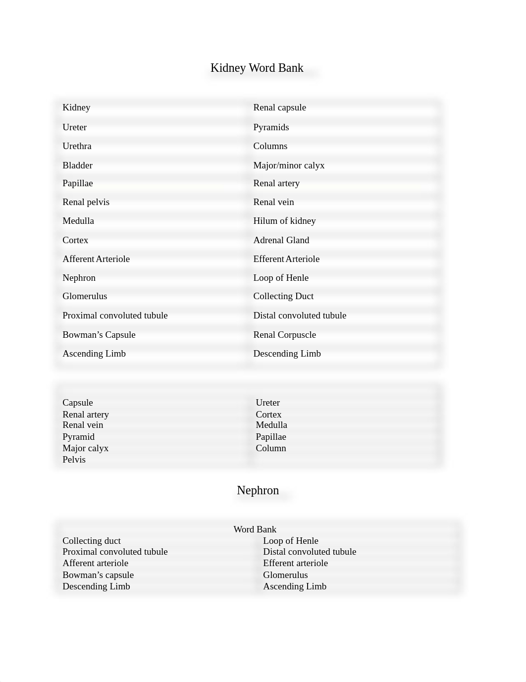 A&P 2 final lab exam study guide 2021.docx_d5uzrl2ixnm_page3