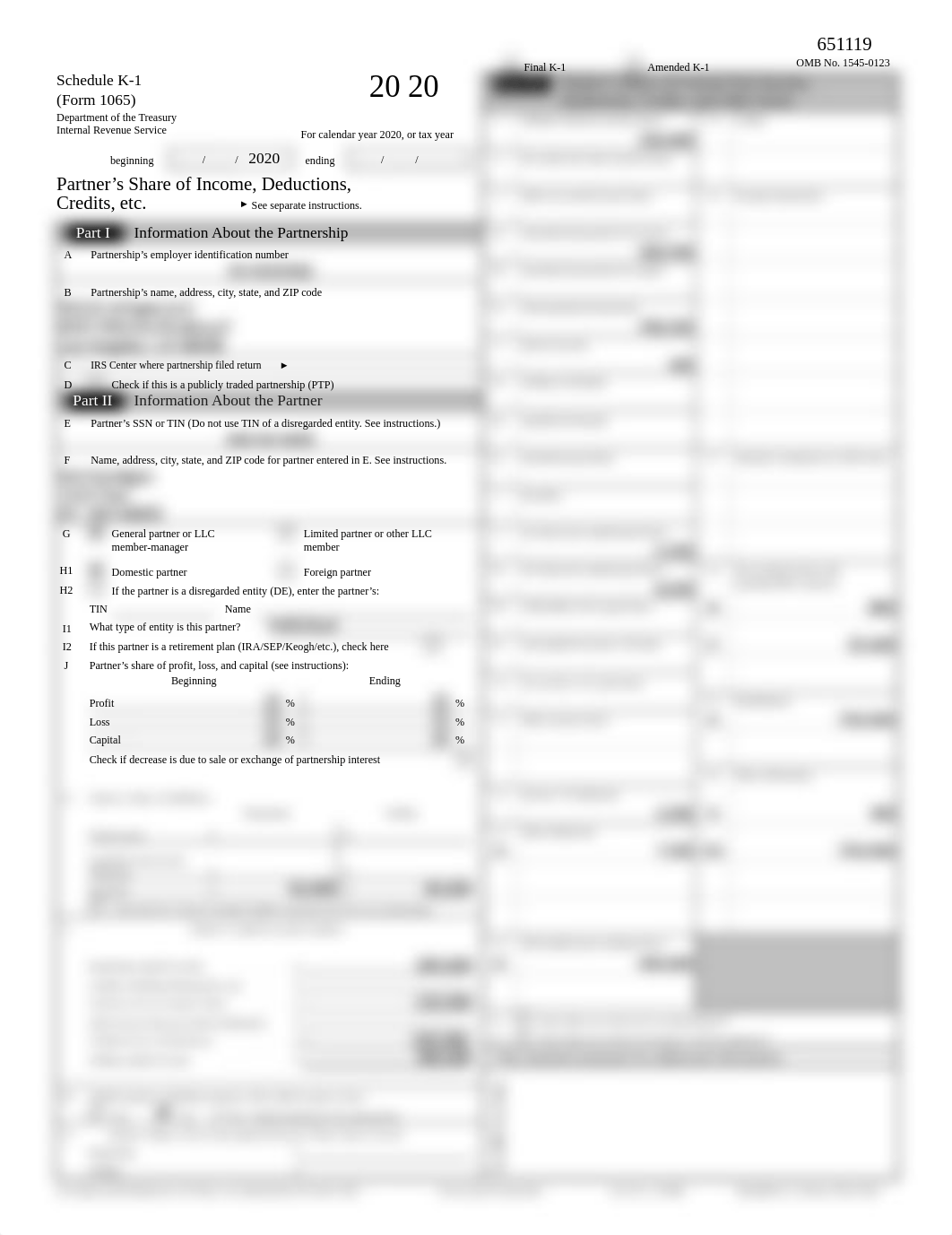 2020 Form 1065 Schedule K-1, Kim.pdf_d5v2gy88jfe_page1