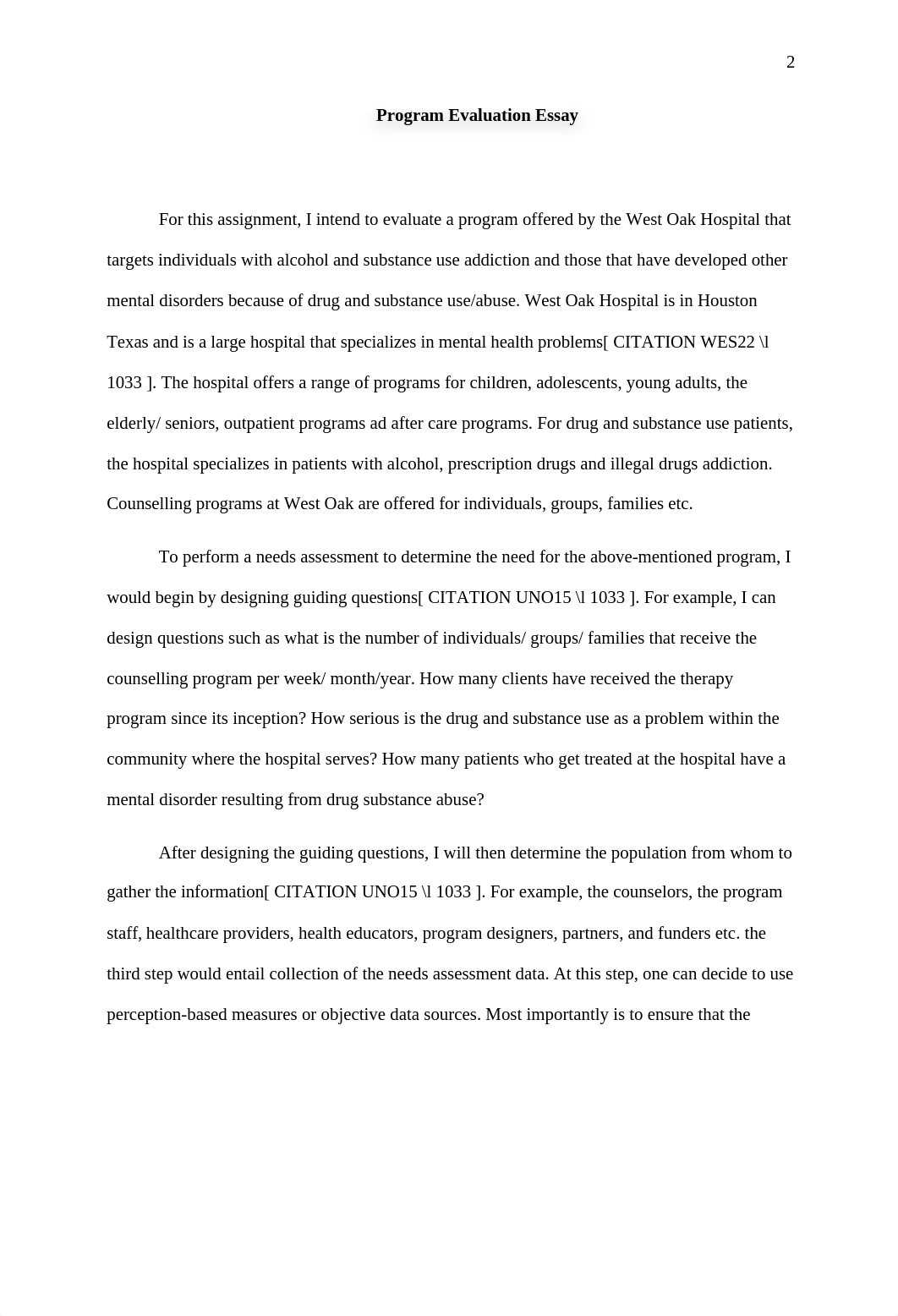 Program evaluation Essay.docx_d5v6yuoduf4_page2