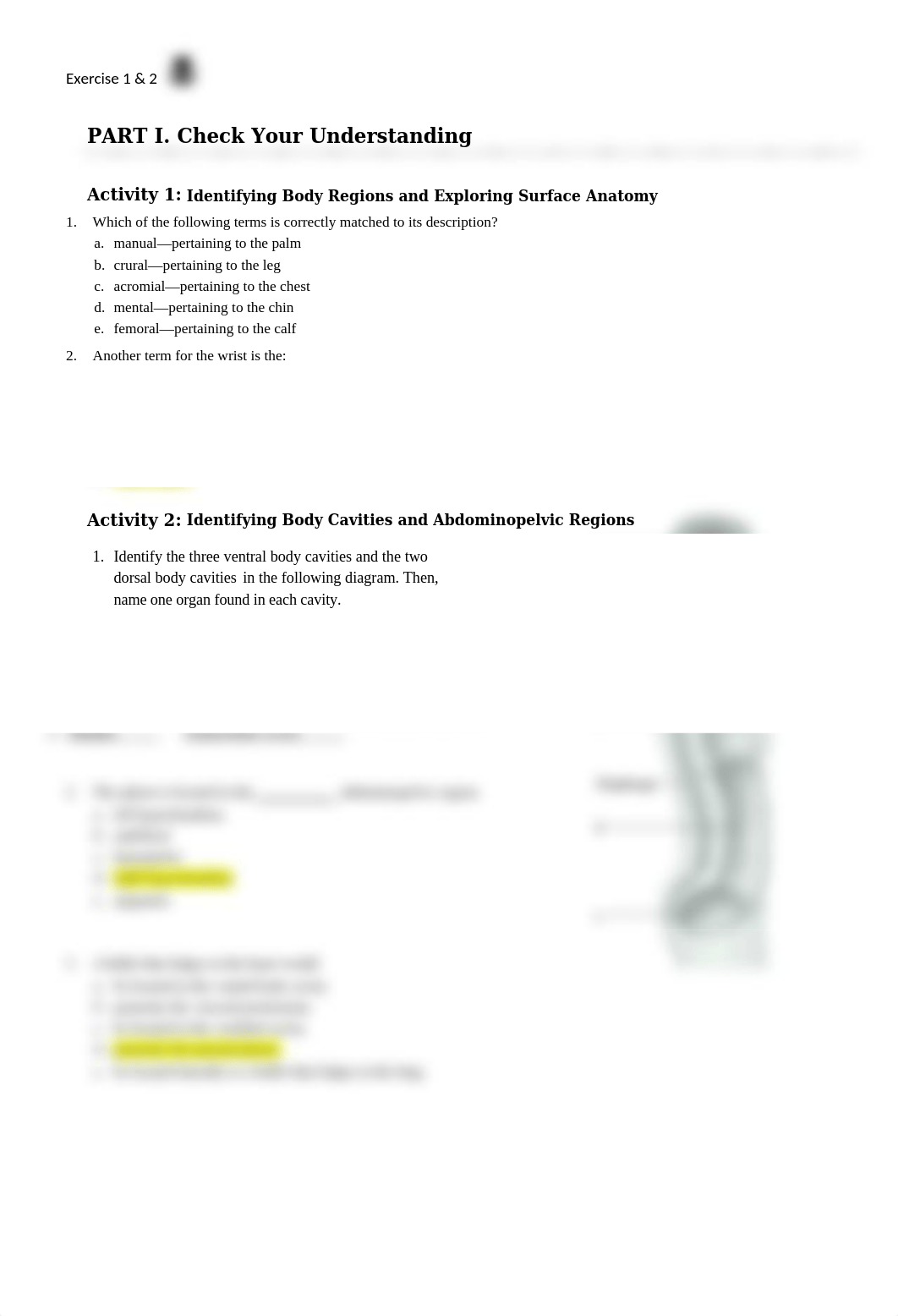 Unit 1 Anatomy.docx_d5v8eejtcum_page1