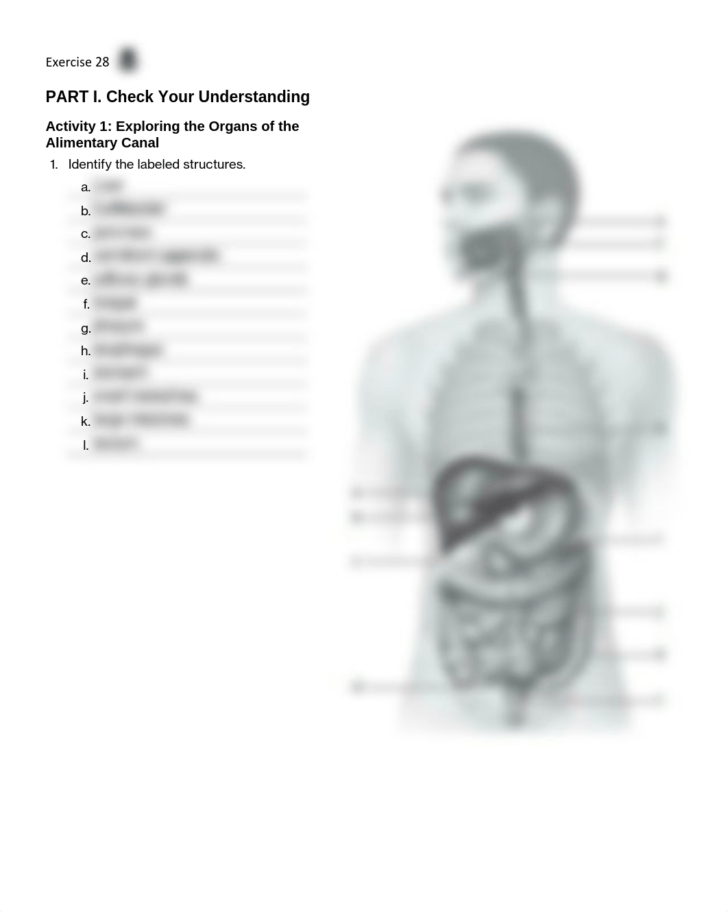 13. Unit 13 laboratory exercise 28 EDIT - done.pdf_d5ve7znc8h9_page1