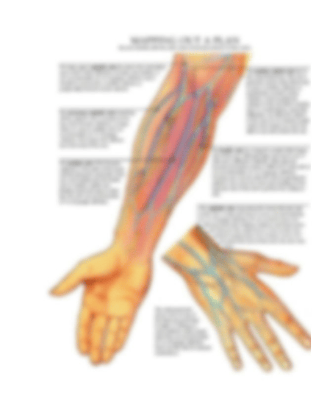 IV Veins in Arm.docx_d5vjsjrjgqa_page1