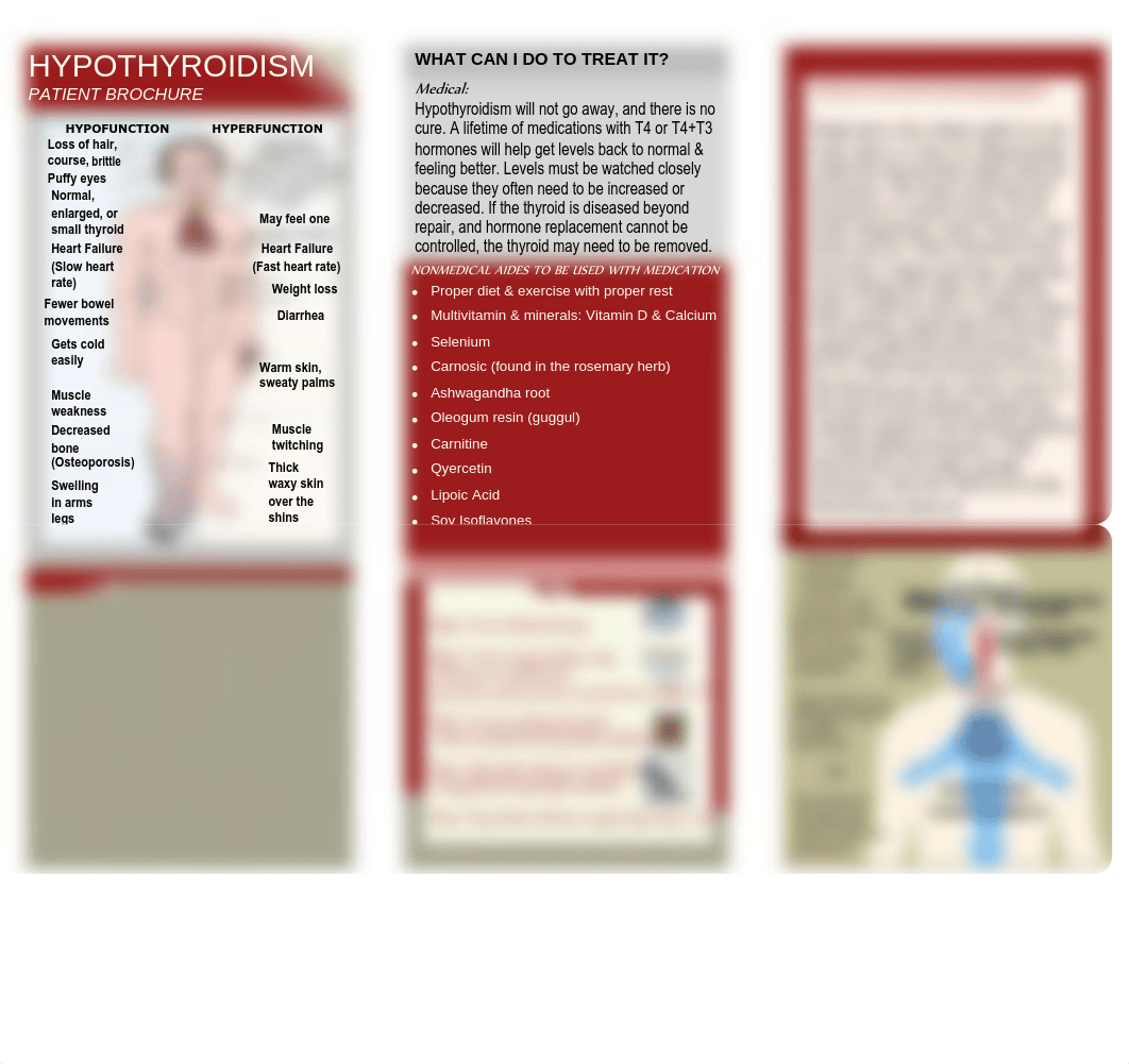 Hypothyroidism Brochure.pdf_d5vn6jtv5hk_page1