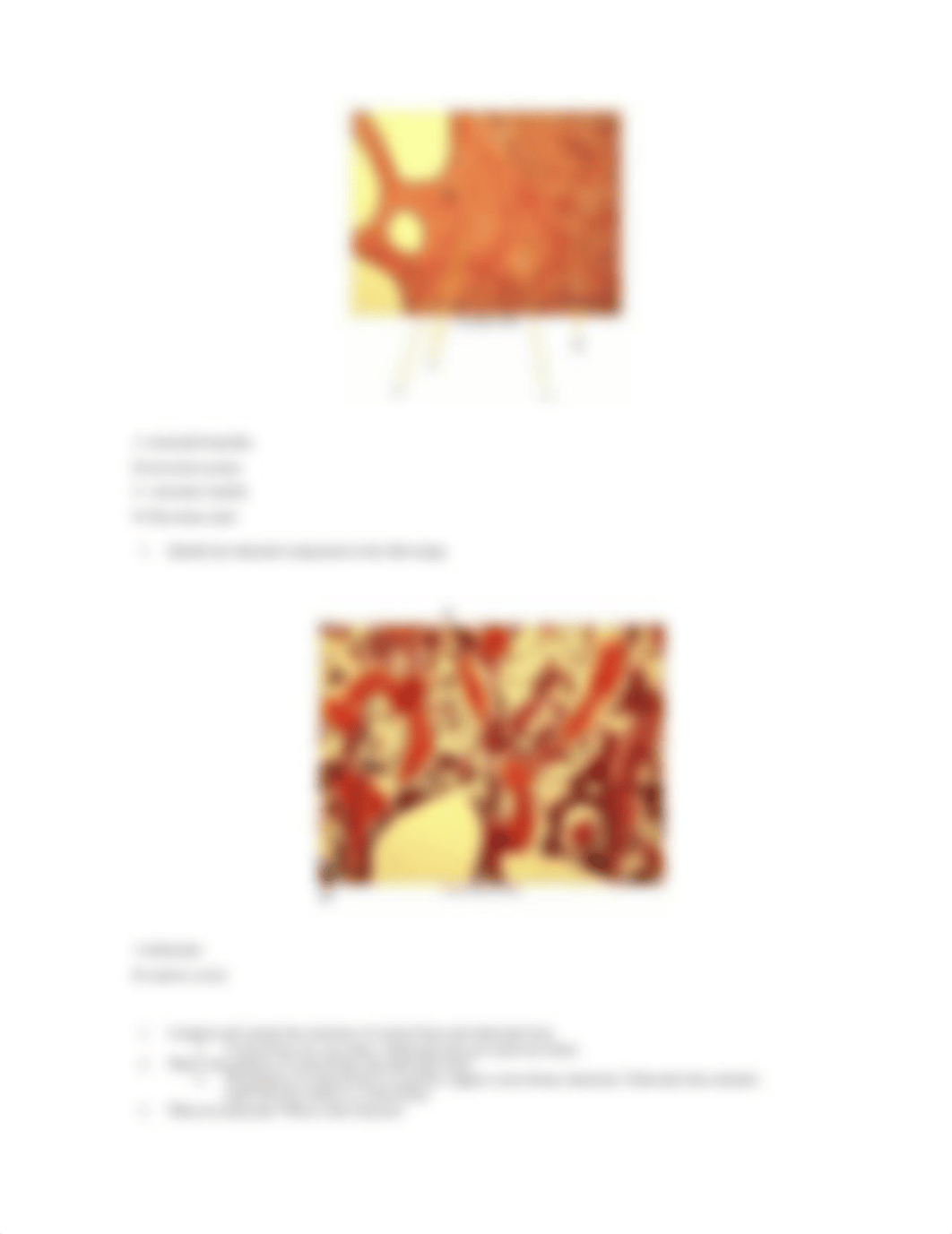 Skeletal System- Intro to Anatomy_ Physiology Lab.docx_d5vvx6bc42d_page3