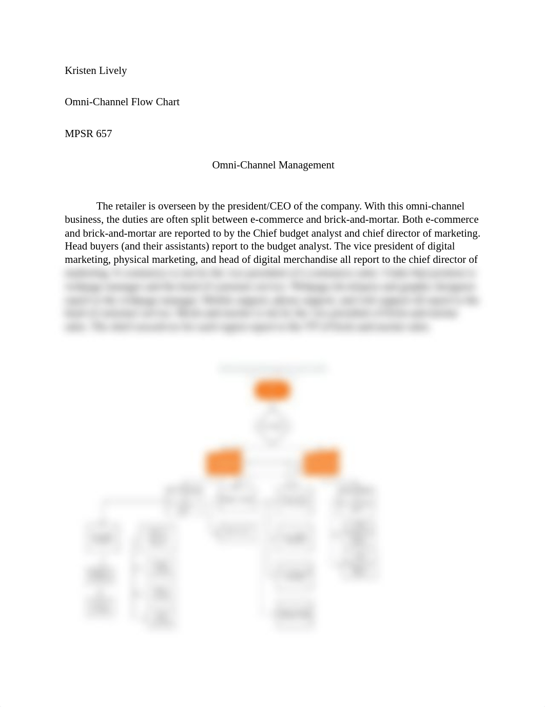 omni-channel flow chart.docx_d5w4rhemvaj_page1