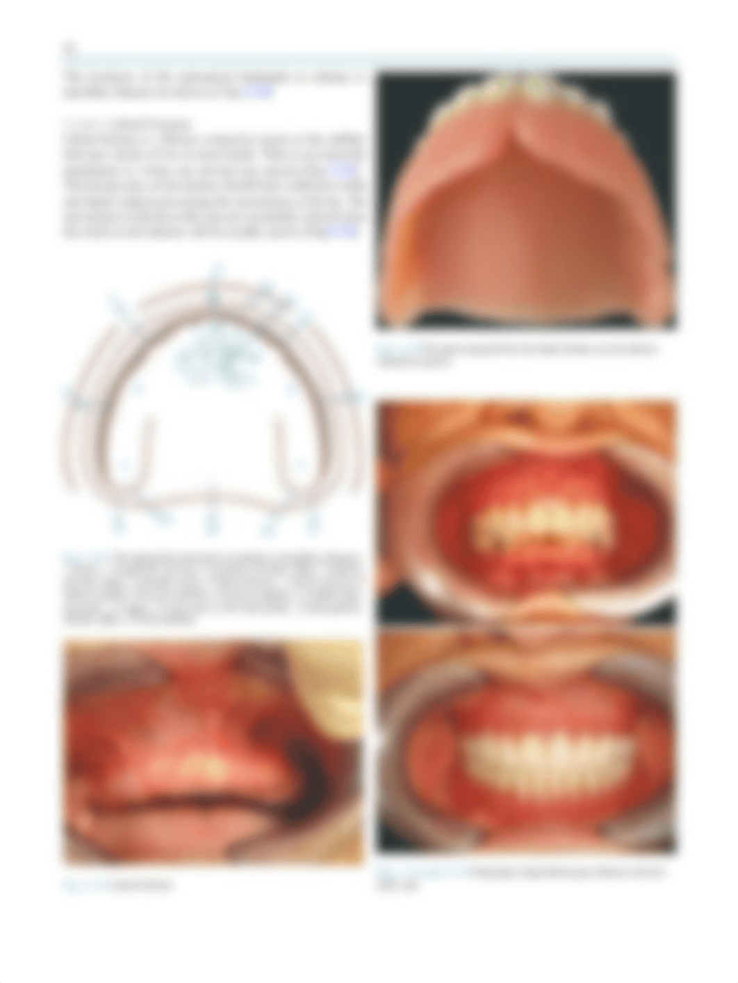 W 7 Anatomy and Physiology Lecture 4 spring 2021 lect7.pdf_d5w5sm1dm3e_page3