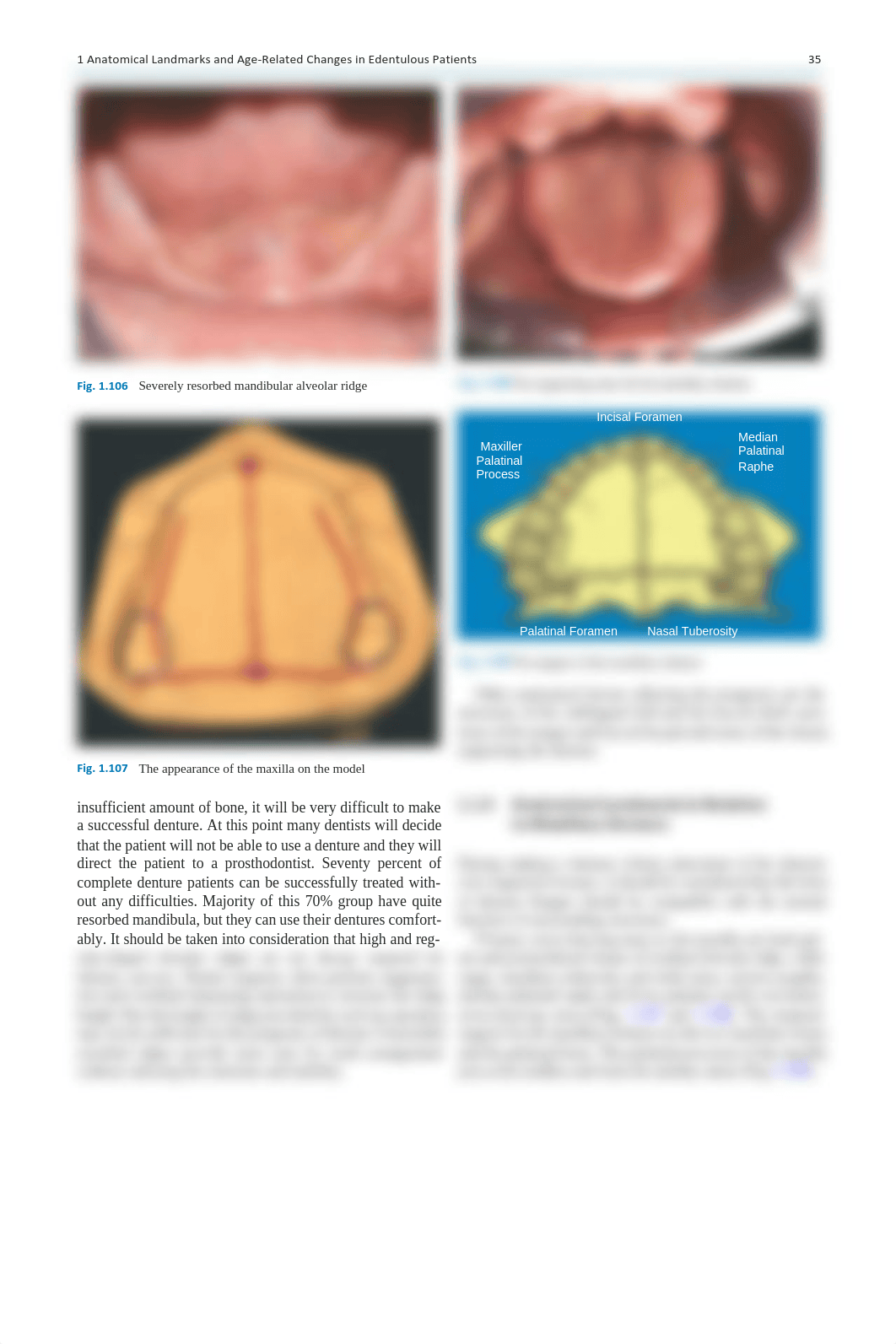 W 7 Anatomy and Physiology Lecture 4 spring 2021 lect7.pdf_d5w5sm1dm3e_page2