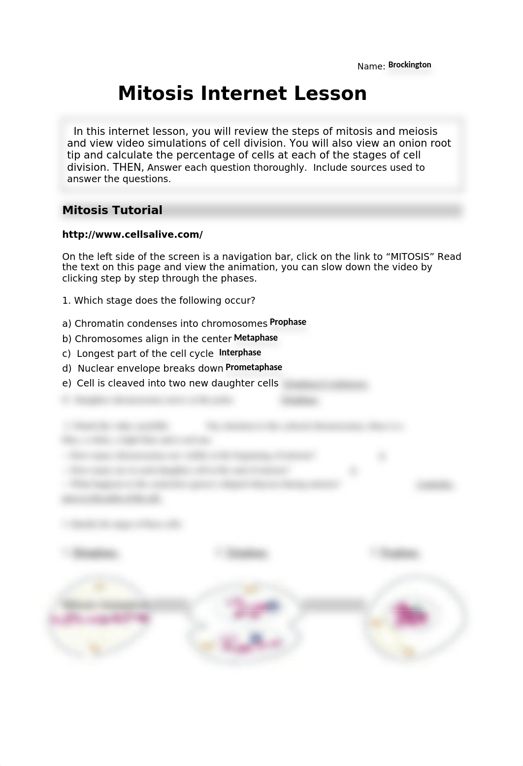 Mitosis and Meiosis internet lessonbio101onli (Lab 12).doc_d5wa10nsj0z_page1