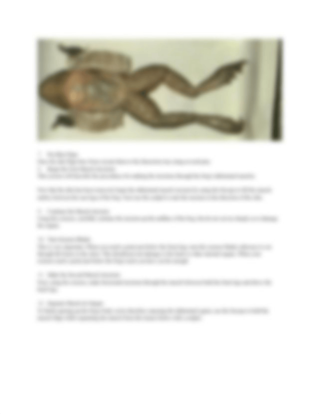 Frog Dissection Guide(1).docx_d5wp0qrwvvd_page4