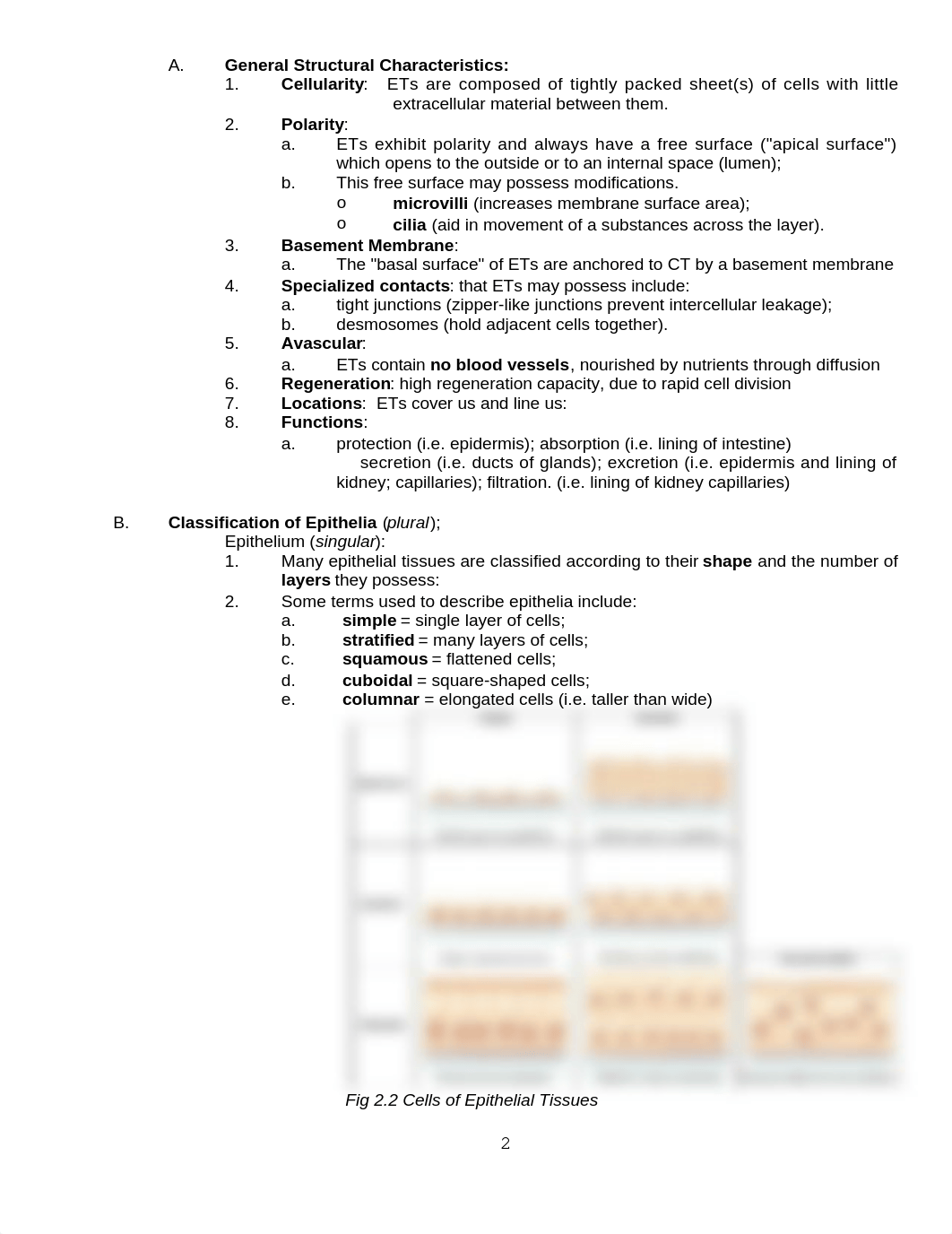 BIO Lab 2.docx_d5wpfaprhko_page2