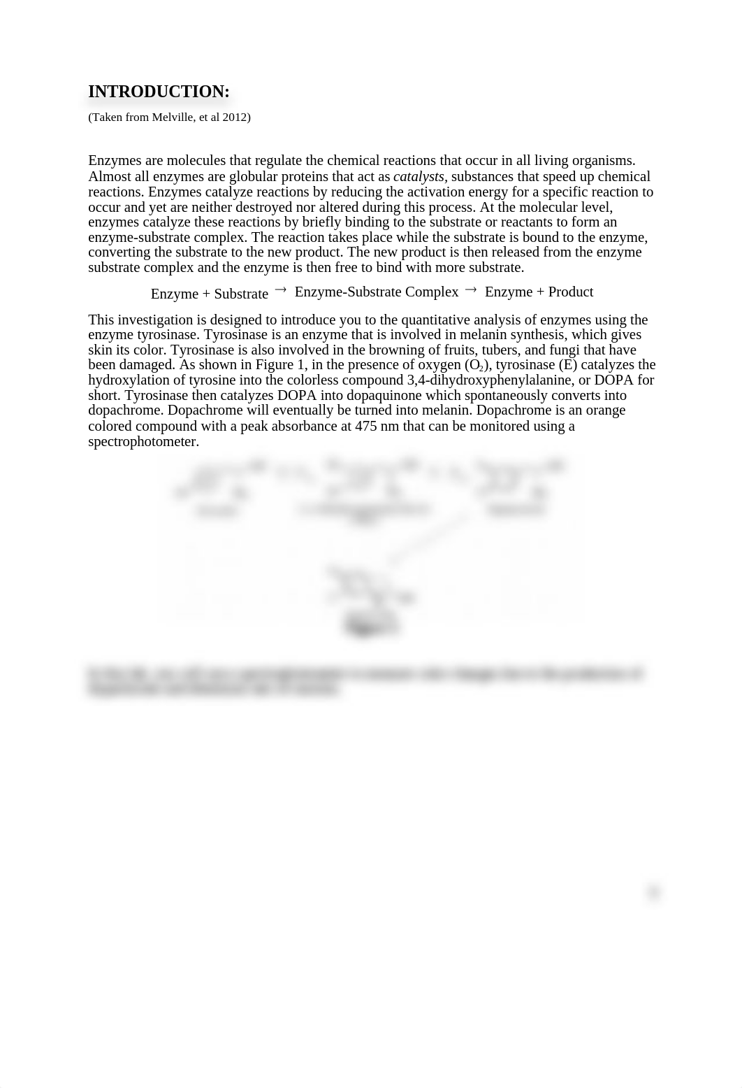 Bio Lab Enzymes.docx_d5wt18bfd8n_page3