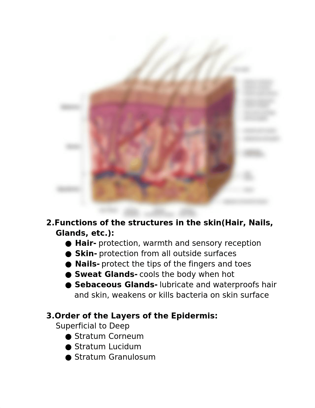 _EXAM 2_.docx_d5wumxhtfgc_page2