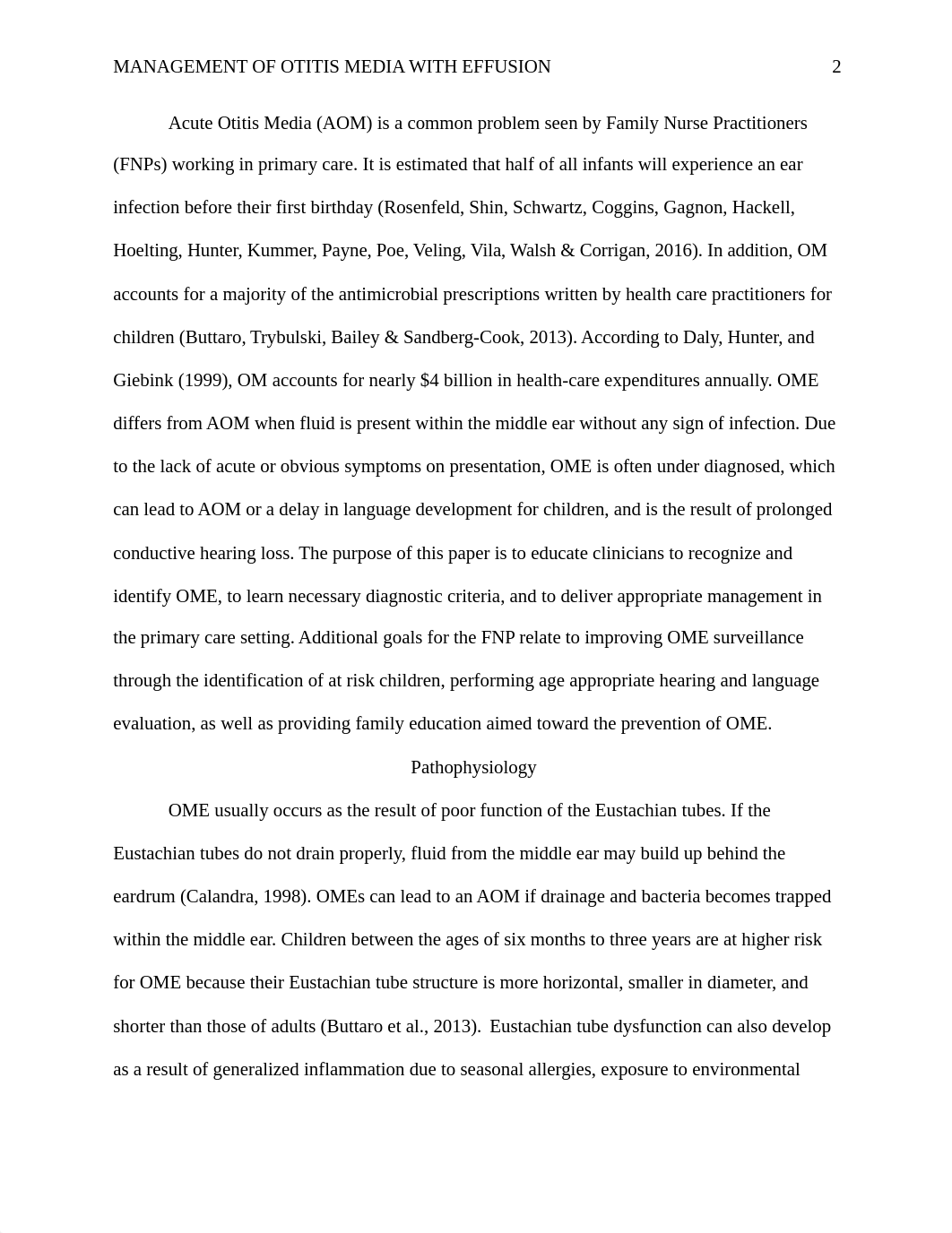 N675 Mgmt Paper Example 2.docx_d5wwwkaurz5_page2