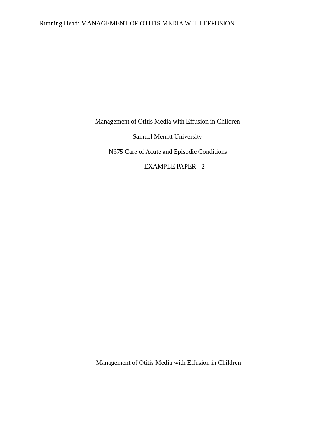 N675 Mgmt Paper Example 2.docx_d5wwwkaurz5_page1