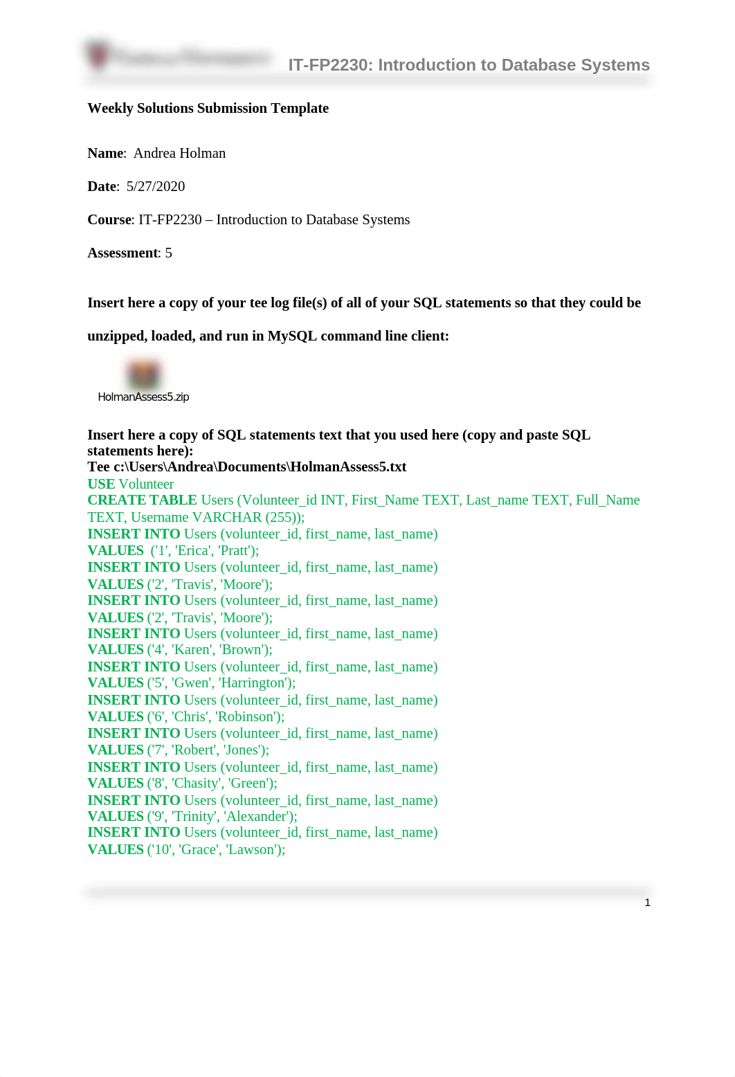 IT-FP2230_HolmanAndrea_assessment5-1.docx_d5wzly4wt2i_page1