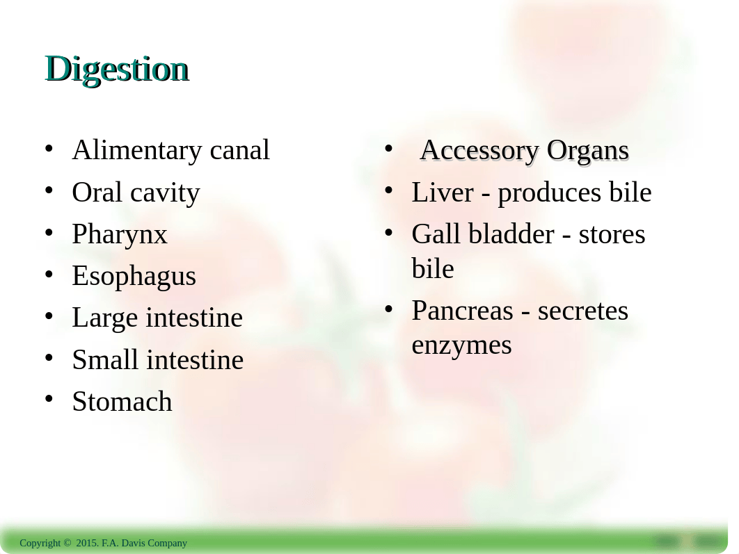 Chapter 9 Digestion.ppt_d5x4p6ol4ux_page3